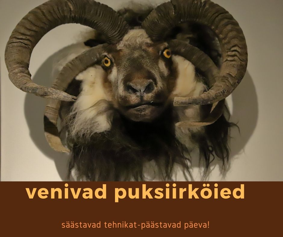 Venivad puksiirköied